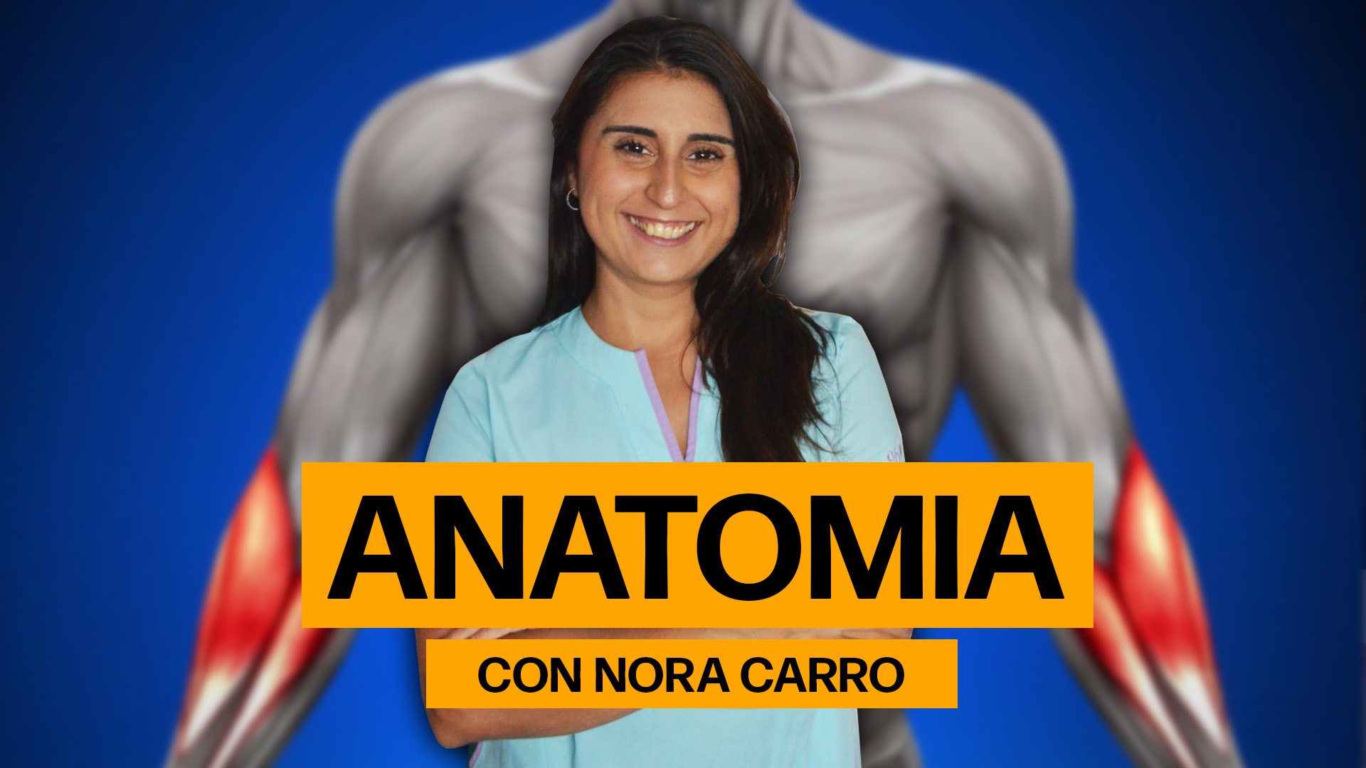 ANATOMIA